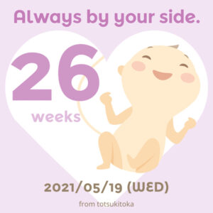 妊娠26週